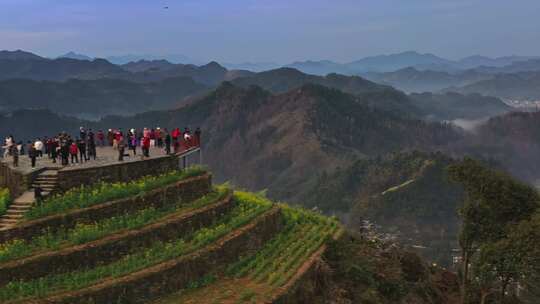 安徽黄山石潭油菜花