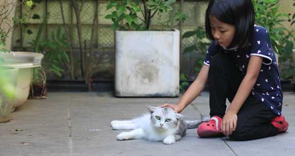 可爱小女孩与她的宠物猫在花园院子里玩耍