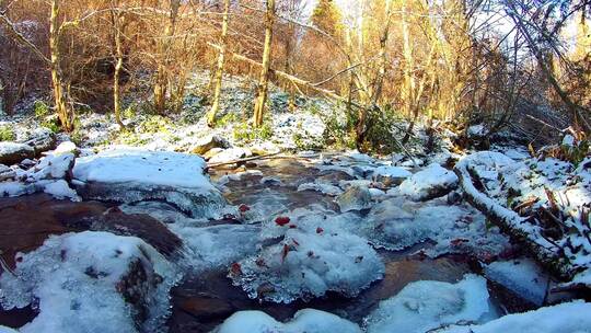 太阳洒落在落满白雪的小溪