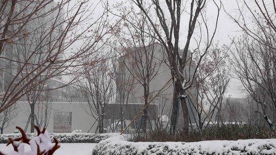 2023年北京的第一场大雪视频素材模板下载