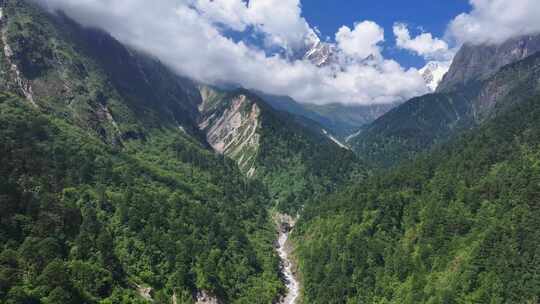 航拍四川贡嘎山区南门关沟森林河谷雪山风光