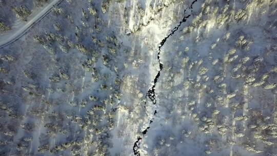 日本北海道大雪山国家公园森林公路