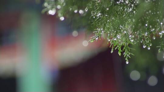 古建筑屋檐雨滴