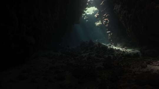 海洋，洞穴，水下，海洋生物