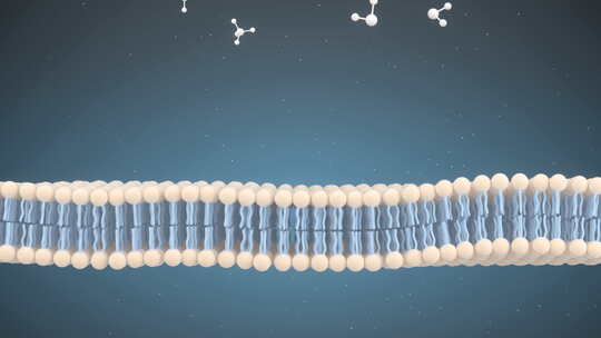 细胞膜和分子，三维渲染。