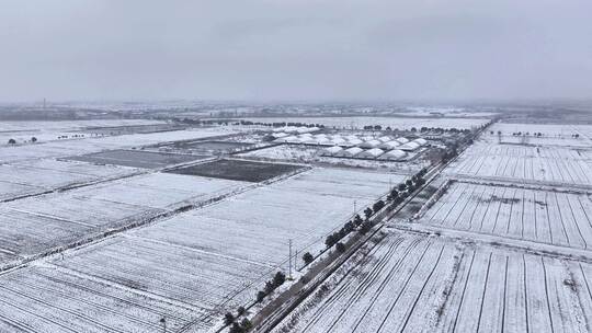 航拍农村乡镇集镇田野平原雪景