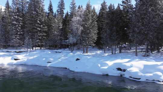 航拍新疆冬季喀纳斯河流晨雾雪山森林雪景