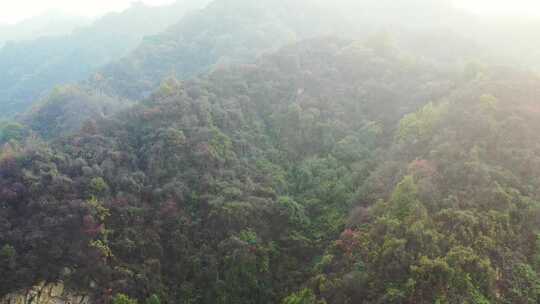 航拍秦岭秋天景色 秦岭 秋季