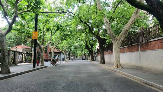 上海封城中的初夏街道环境
