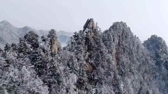 南太行伏牛山雪景雾凇云海自然风光