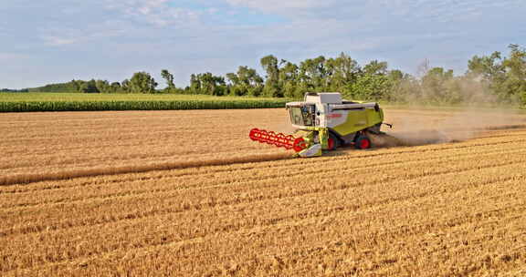 农业田间收割小麦