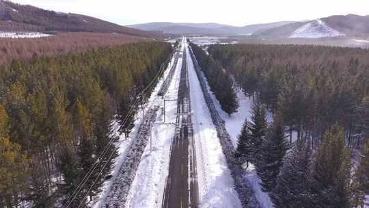 被雪覆盖的林间公路