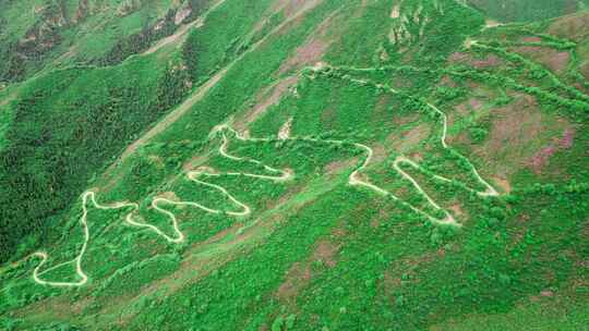 青海海东市乐都高山越野盘山公路杜鹃花航拍