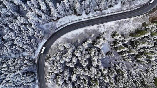 雪后的林间道路