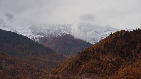 山脉丛林和雪山景观