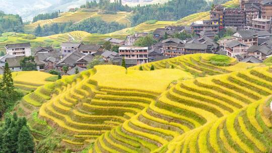 广西桂林龙胜梯田自然风光4k