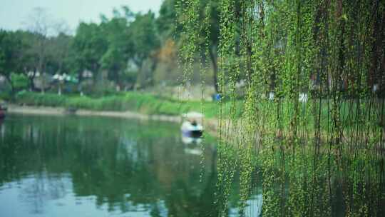 城市公园湖泊春季踏青都市人文视频合集