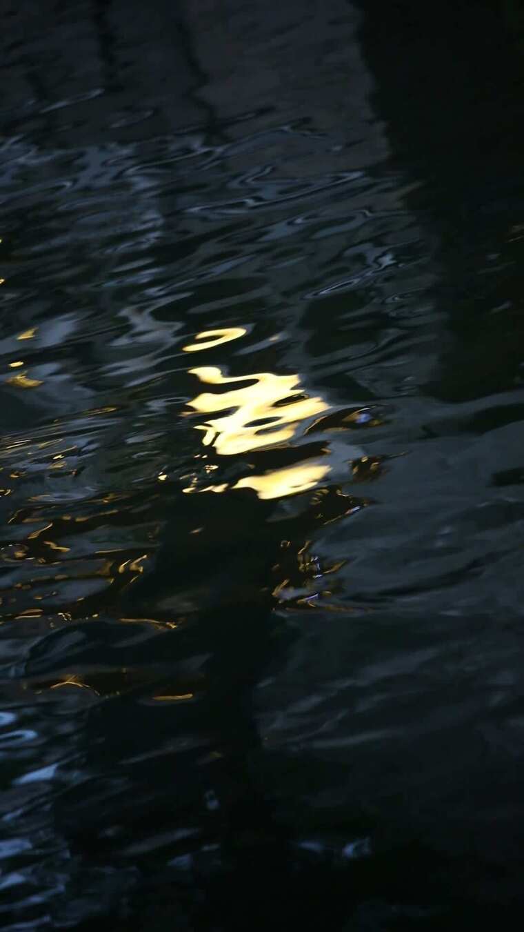 水中映明月波光荡金黄中秋月圆夜