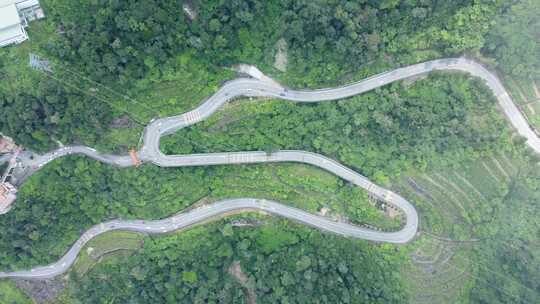 蜿蜒道路和绿色森林的无人机视图