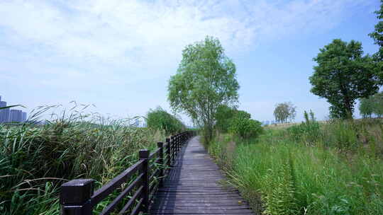 武汉江夏区黄家湖湿地公园