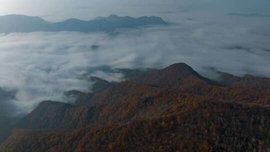 云海山峰森林日出延时