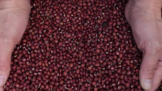 农作物红豆漂亮镜头一组视频素材模板下载