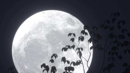 透过树枝树叶看月亮