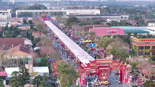 中国广东省佛山顺德区陈村花卉世界迎春花市