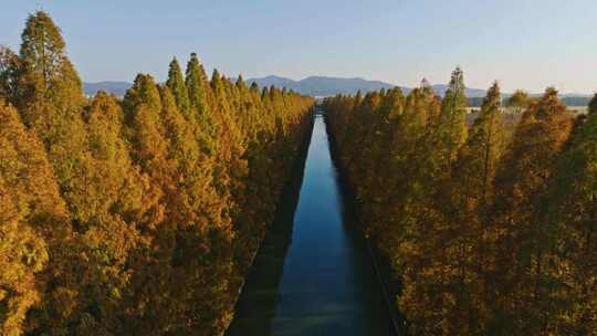 南京浦口零号公路水杉乡村道路夕阳