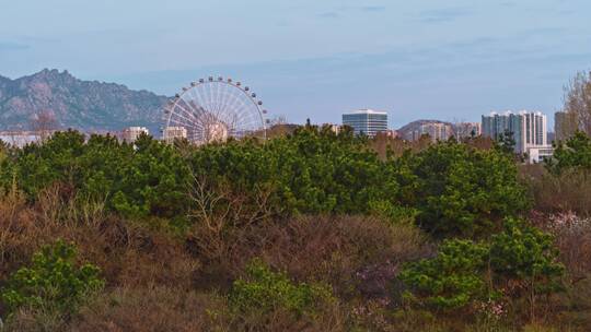 青岛西海岸新区唐岛湾