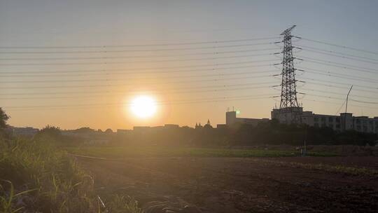 温暖的夕阳下田野的蔬菜烨烨生辉