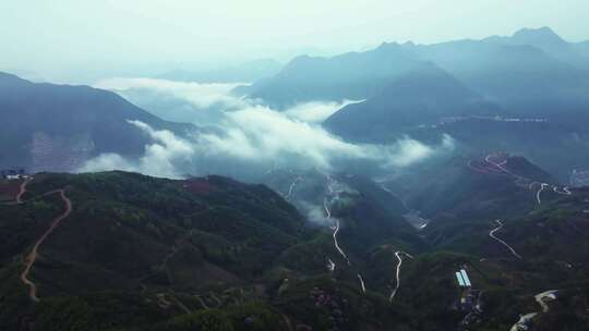 陕西秦岭镇安县海棠山