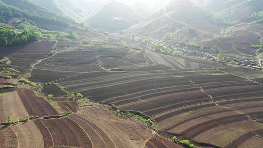 山区梯田耕地航拍