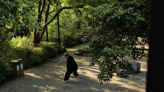 城市公园老人练习太极拳