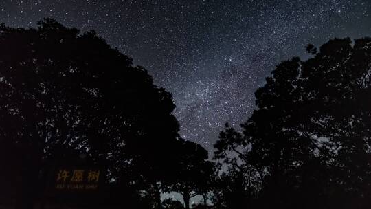 广西天龙顶许愿树璀璨星空8K50