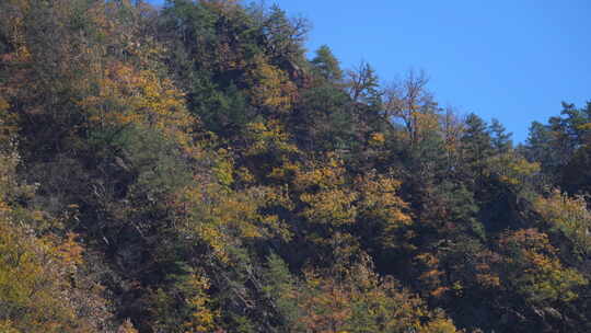 秦岭秋季风景