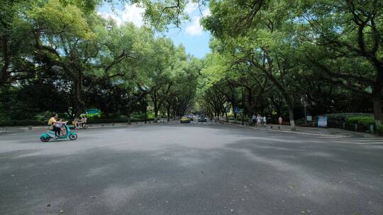 广西桂林城市道路绿树成荫的老城区街道街景