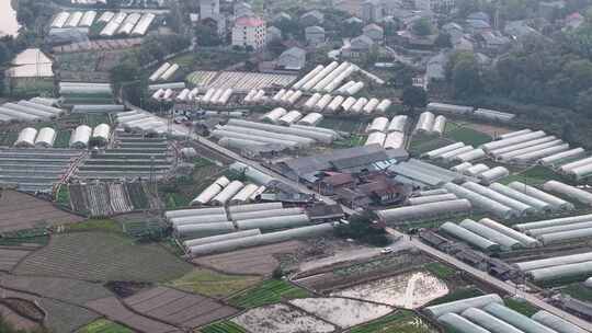 乡村田园农业种植大棚航拍