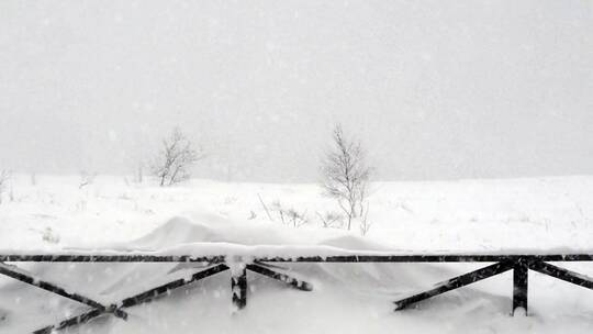 农村的暴风雪