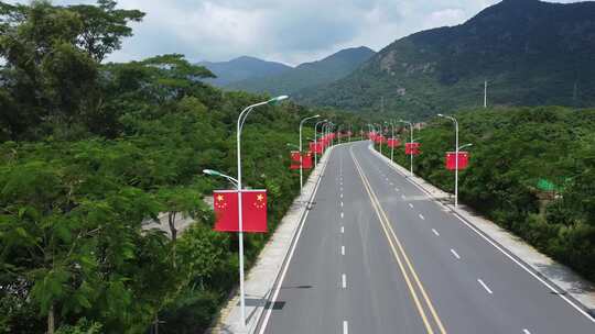 广东东莞：银瓶山森林公园道路灯杆悬挂国旗