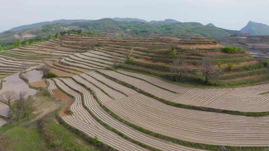 宝鸡梯田  汉封梯田