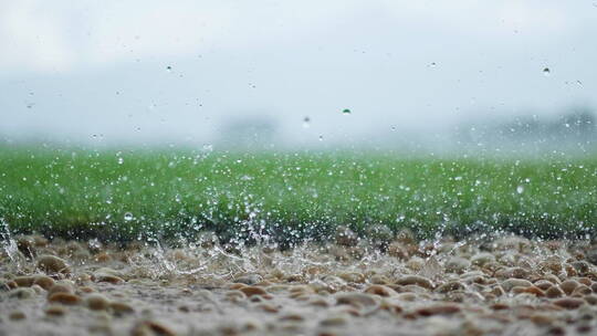 雨水落在草地前的石头上