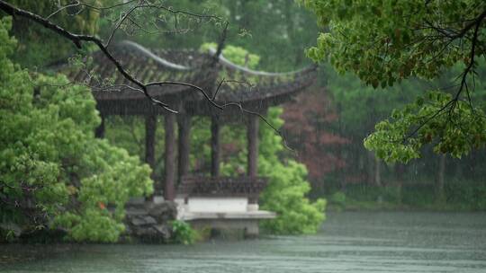 154 杭州 风景 古建筑 下雨天 亭子 树枝