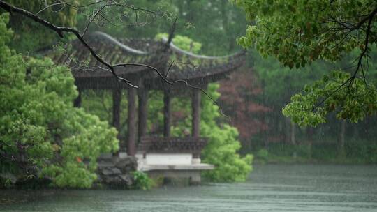 154 杭州 风景 古建筑 下雨天 亭子 树枝视频素材模板下载