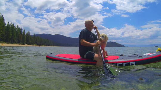 男人和一只狗在湖面上划桨视频素材模板下载