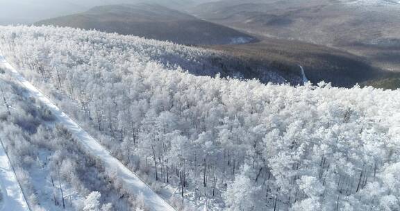 零下40度的低温航拍大兴安岭冰雪雾凇