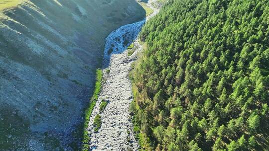 航拍新疆东天山原始森林高山草原溪流