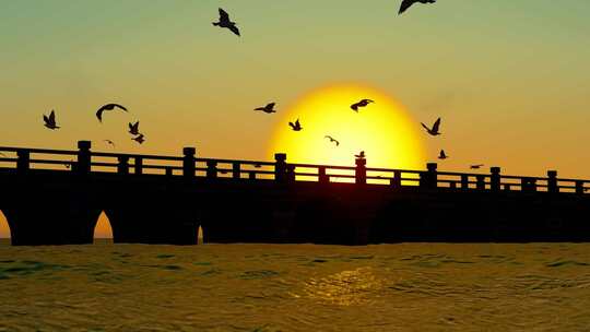 大海桥面上夕阳落下和海鸥飞翔慢动作