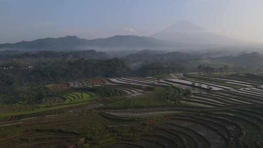 鸟瞰，麦格朗卡乔兰区梯田的晨景。在广告中