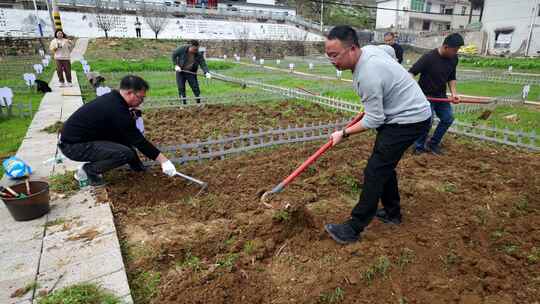 劳动空镜刨土锄地农场工人耕作劳作翻土